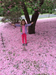 Pink Snow